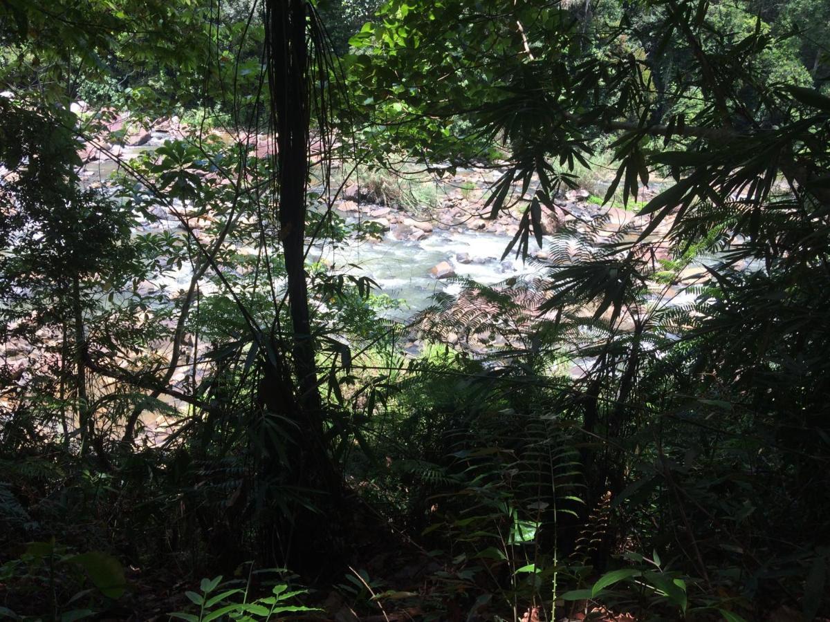 Sinharaja Forest Edge Денияя Екстериор снимка