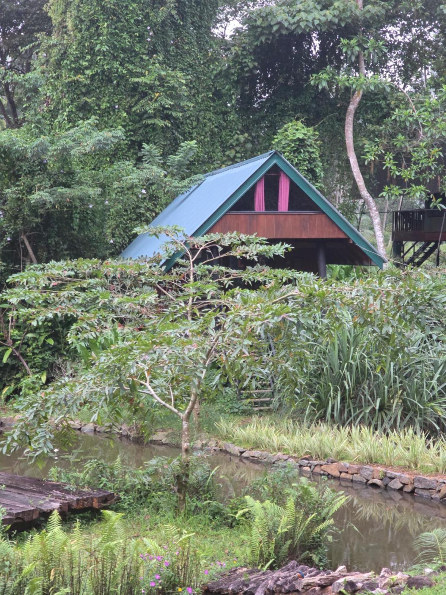 Sinharaja Forest Edge Денияя Екстериор снимка