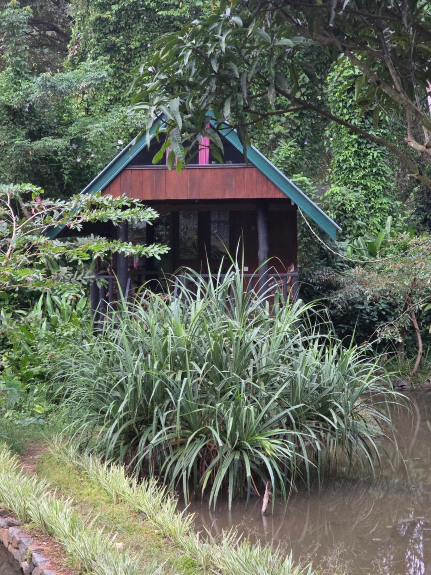 Sinharaja Forest Edge Денияя Екстериор снимка